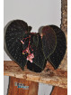 Begonia "EB Galaxias Ruda"