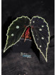 Begonia sp. Umbrella x darthvaderiana (gxEB23)