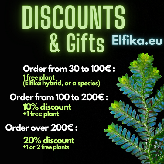Discounts
